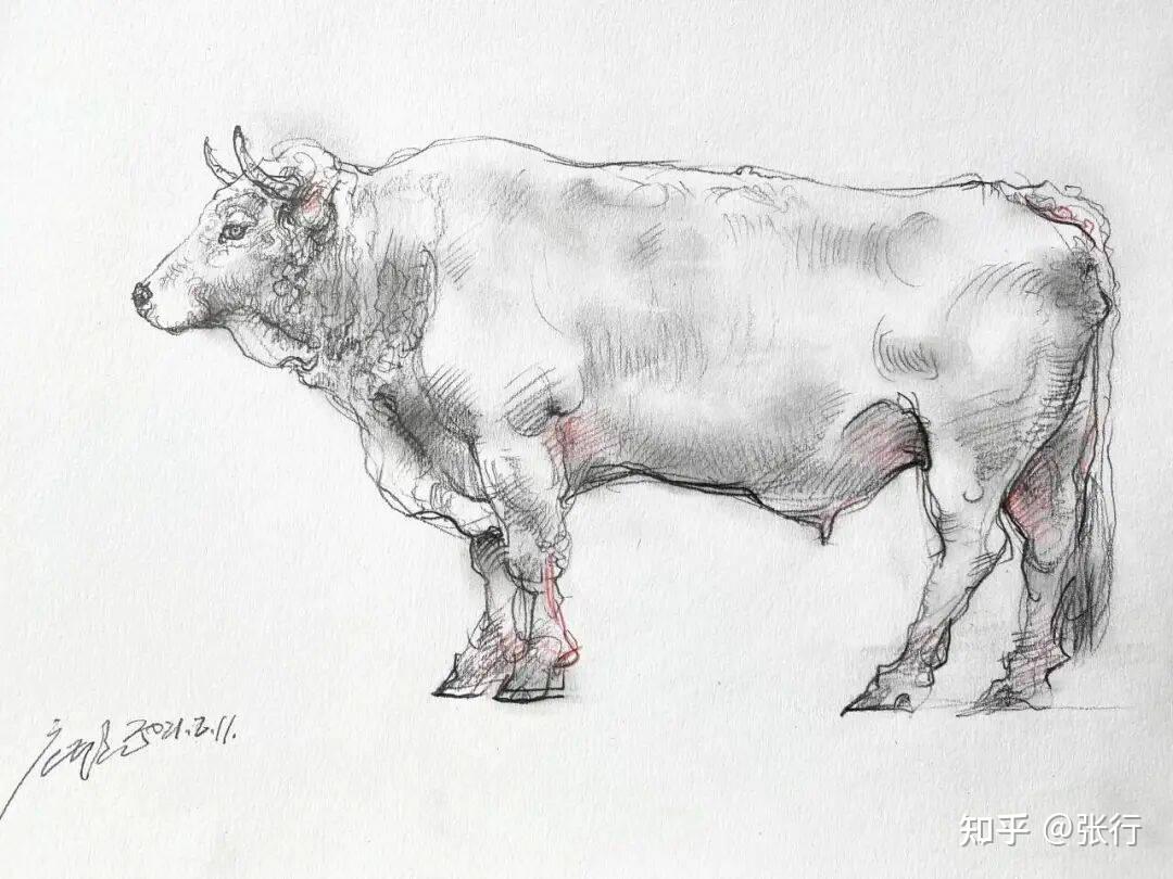 “灵蛇辞旧岁,骏马迎新春”——庞茂琨素描生肖贺新年 - 知乎