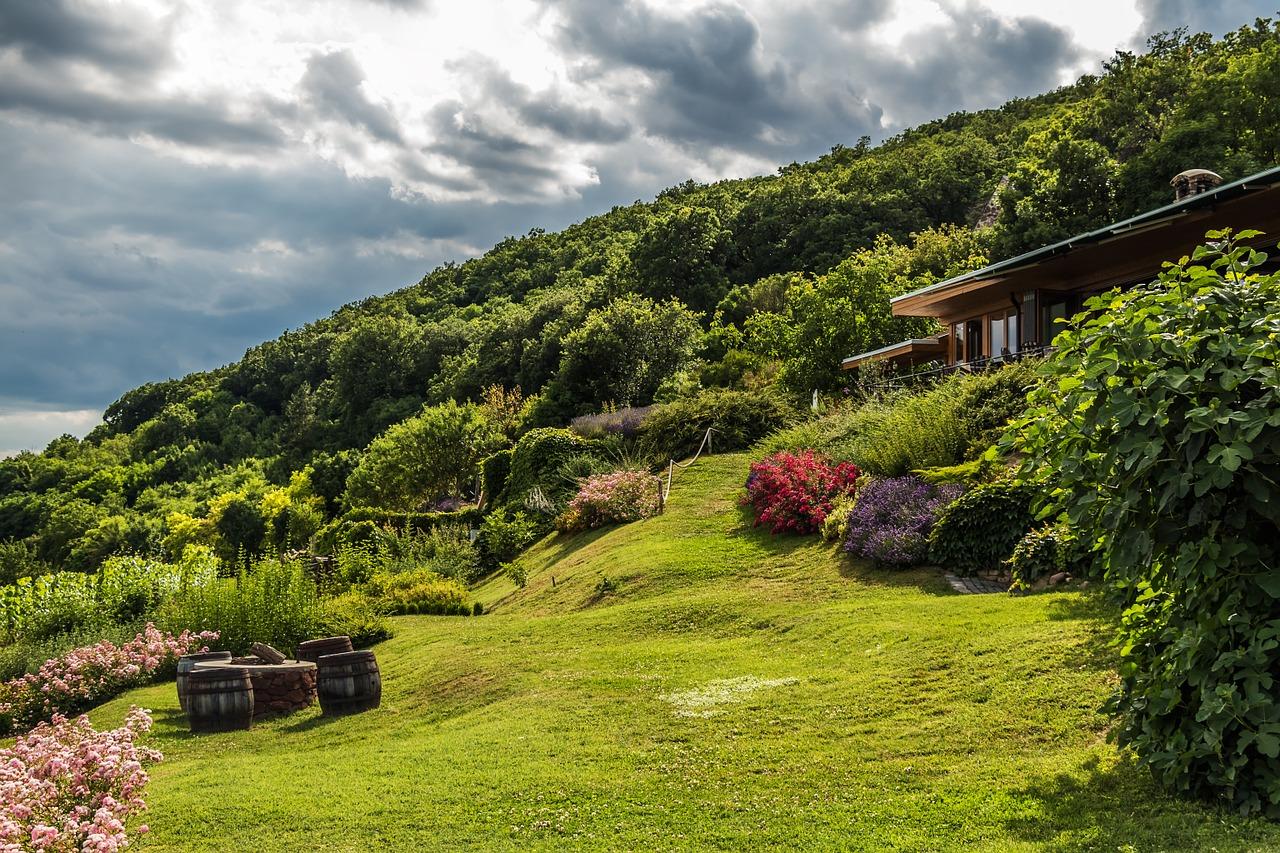 3. 花园产权划分