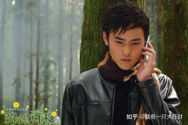 如何评价电视剧绿光森林