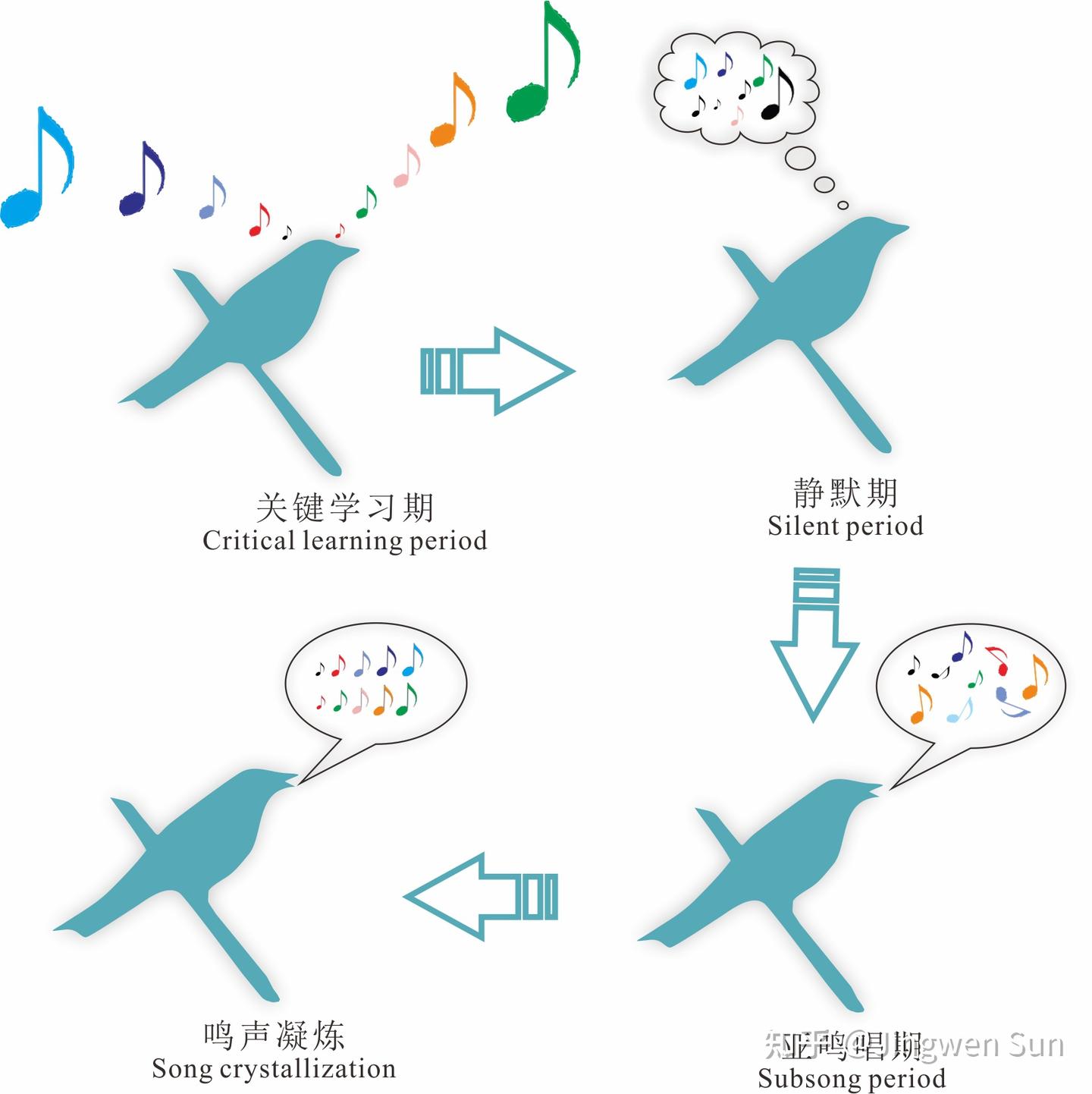 解码鸟类的歌声——鸟类鸣声浅谈 - 知乎
