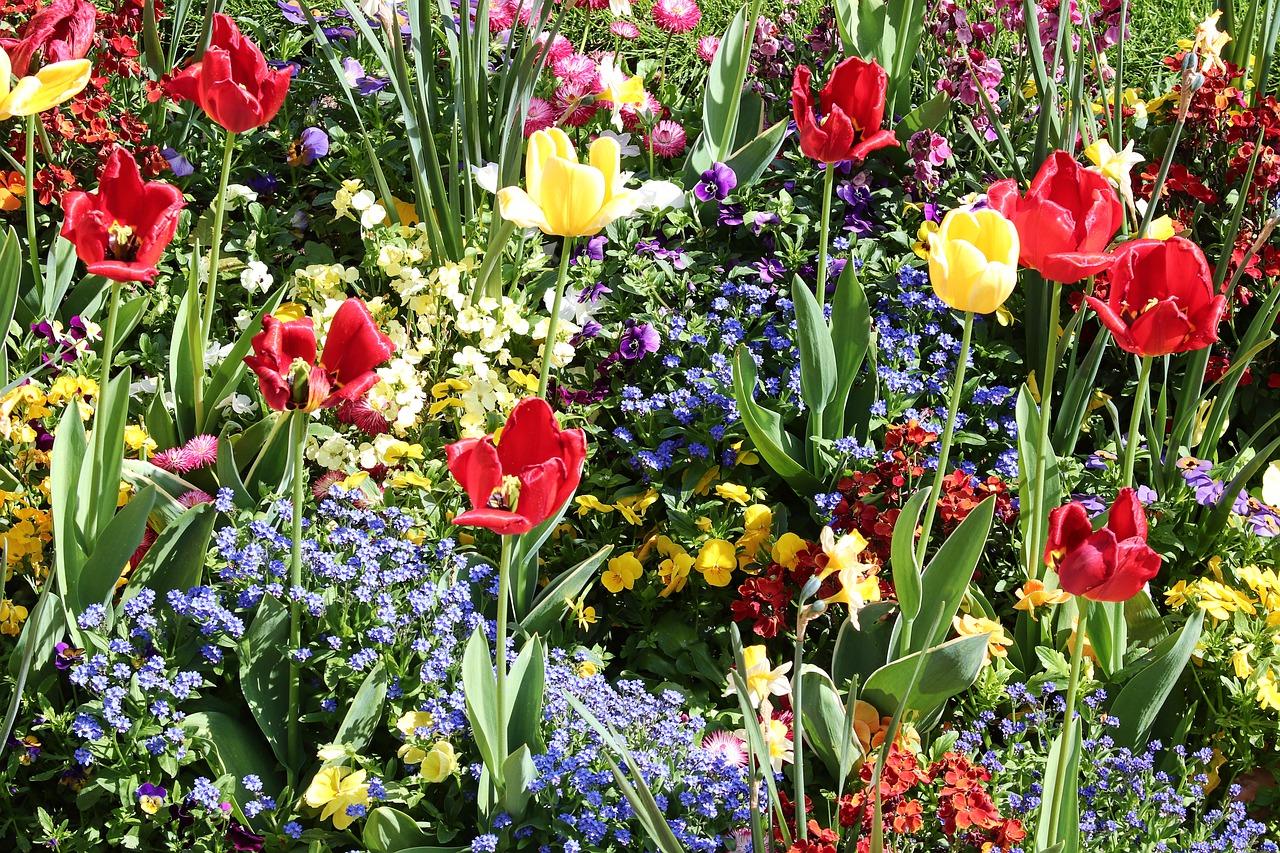 百悦春天小学排名