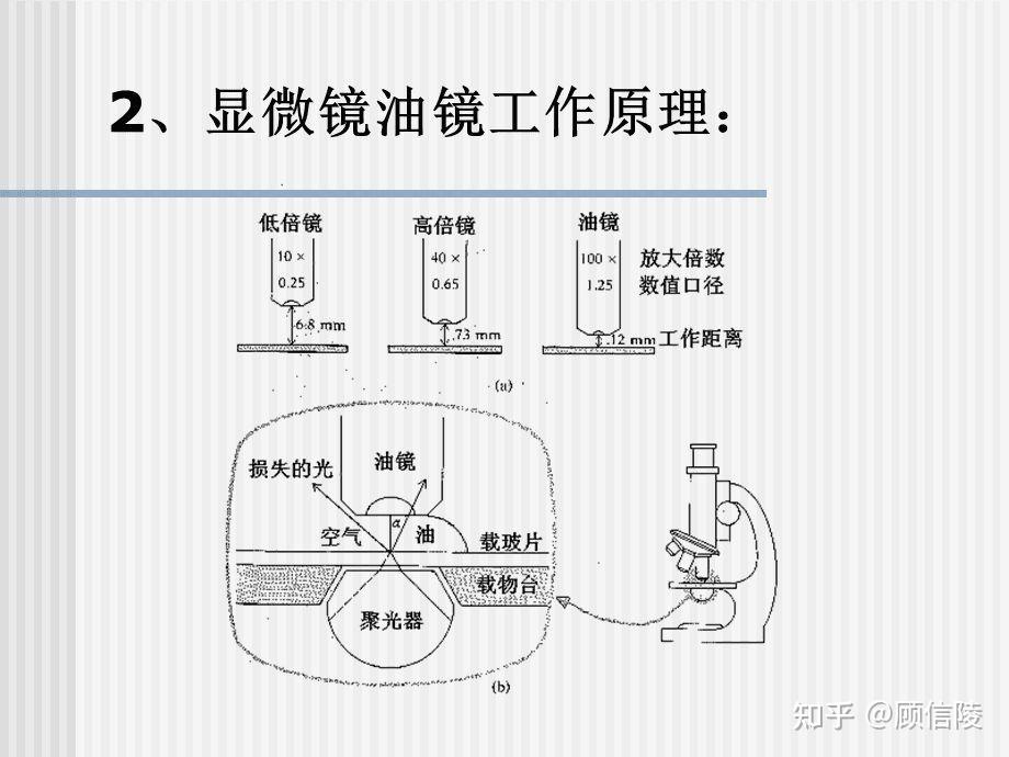 用油镜观察时应该要注意什么? - 知乎