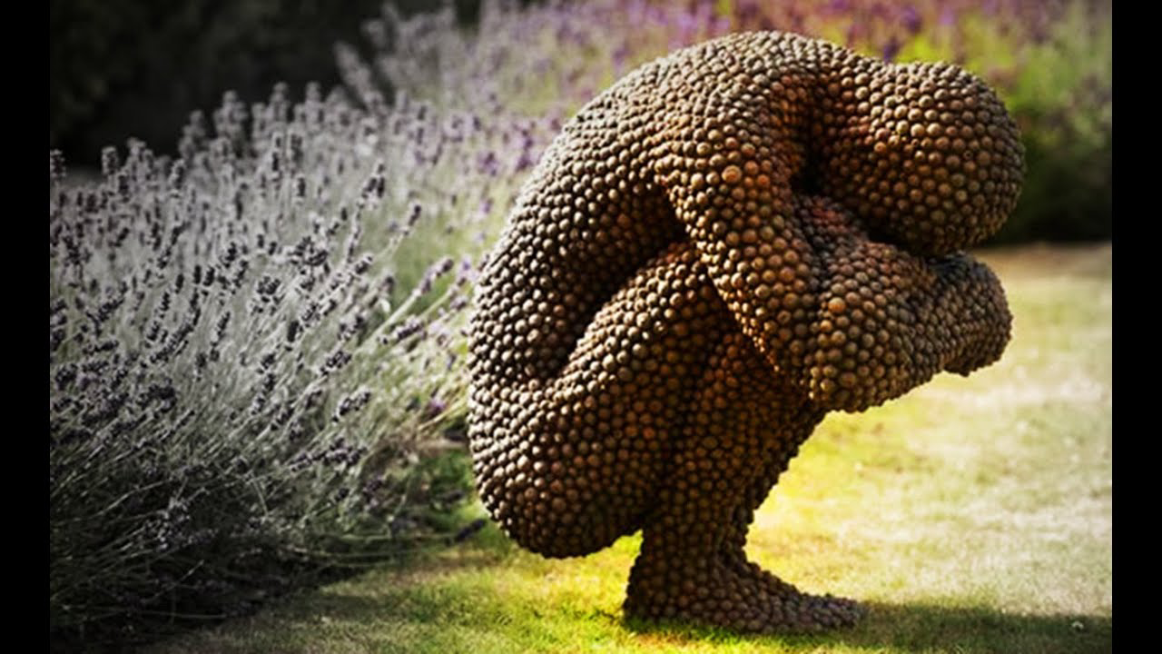 有哪些逼死密集恐惧症的图片或视频?