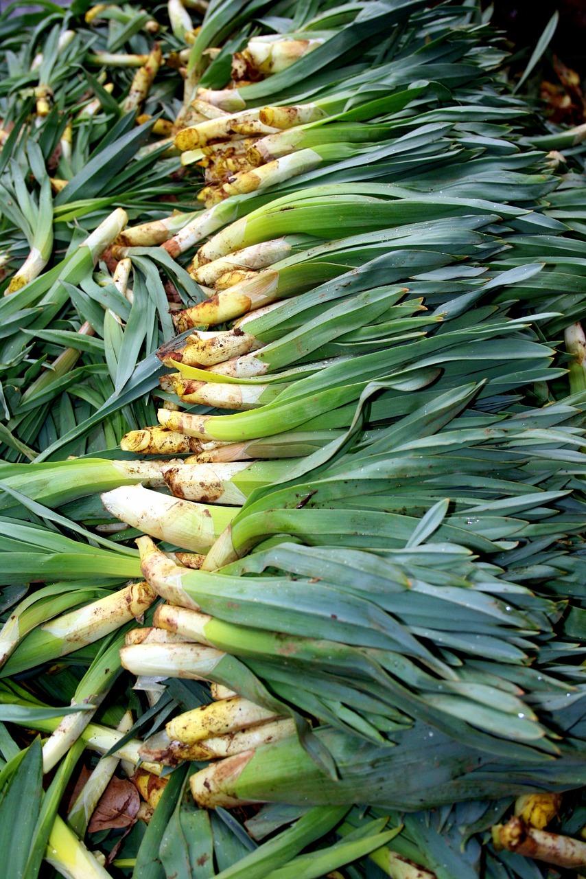 3. 大黄沙发售价