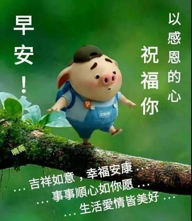 有没有长辈用的早上好表情包