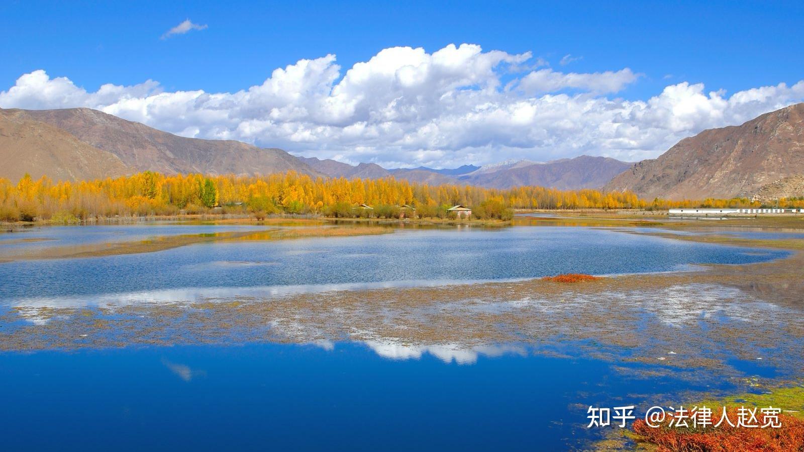 股东会可以行使董事会职权吗?为什么? - 知乎