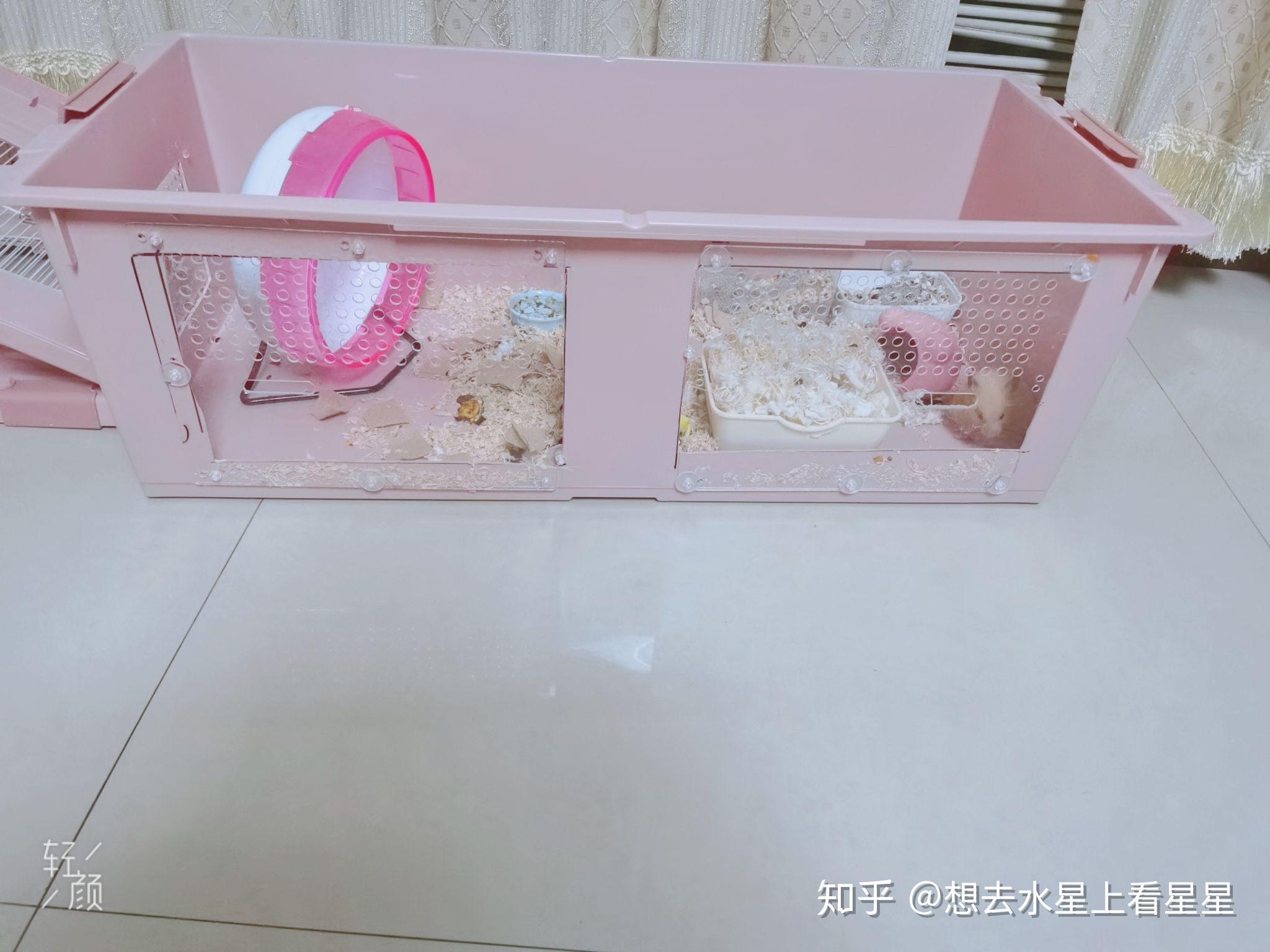 家里暂时买不了笼子,还有仓鼠玩具怎么自制啊? - 知乎