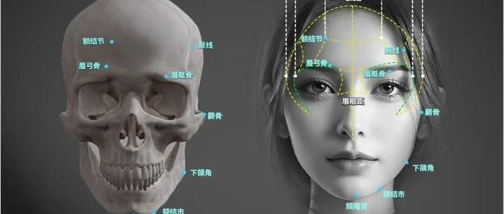 【骨相审美】面部骨点结构，解锁更多属于你的美丽可能性 - 知乎