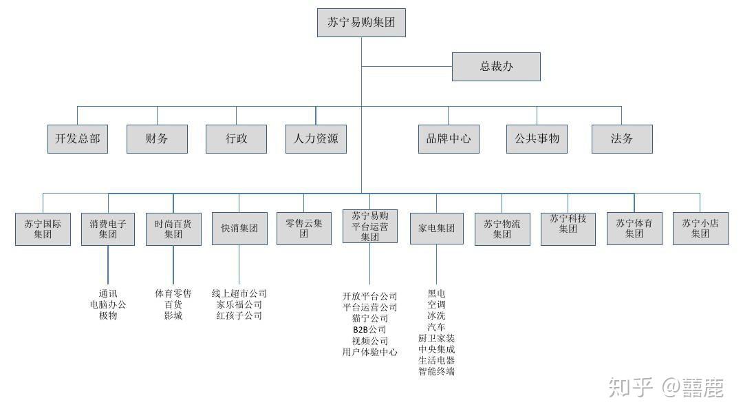 苏宁公司组织结构图图片