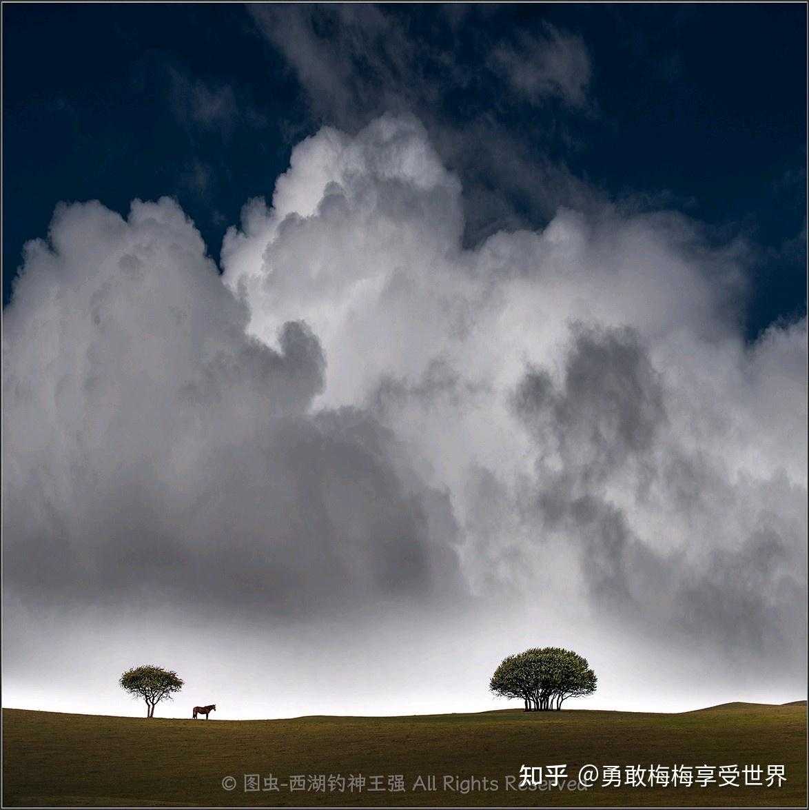 学会消除自己的执念有多重要？ - 知乎