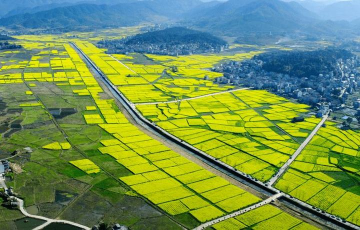 归农商城丨归农电商农业教育与人才培养培养新一代农业人才