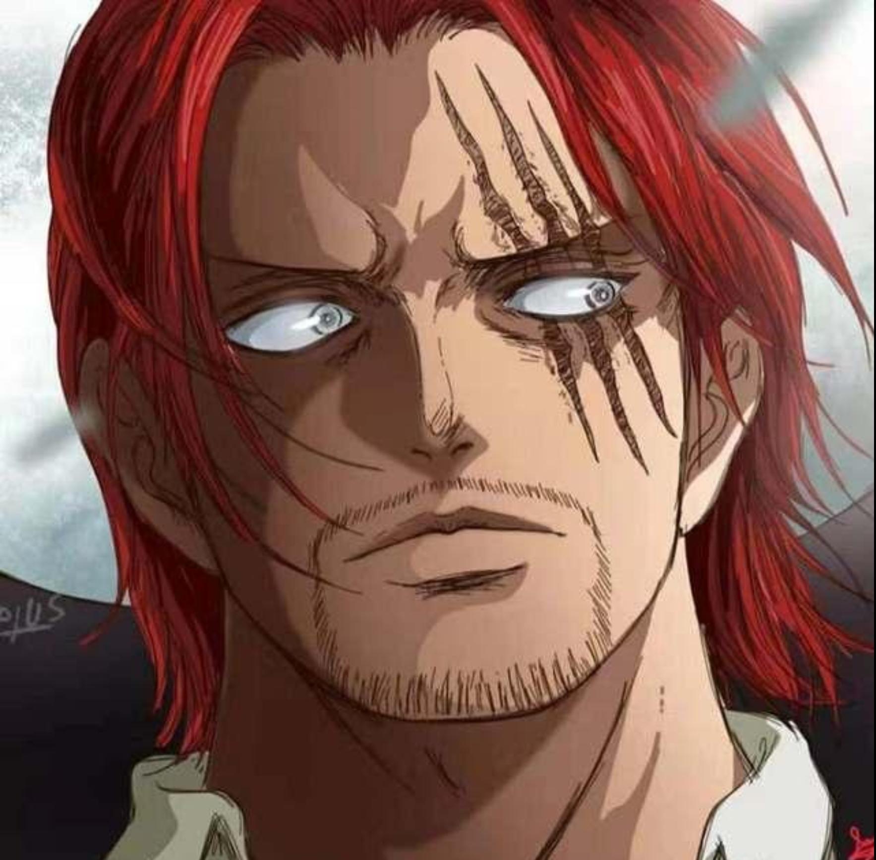 如何评价《海贼王》 漫画第1100 话情报?