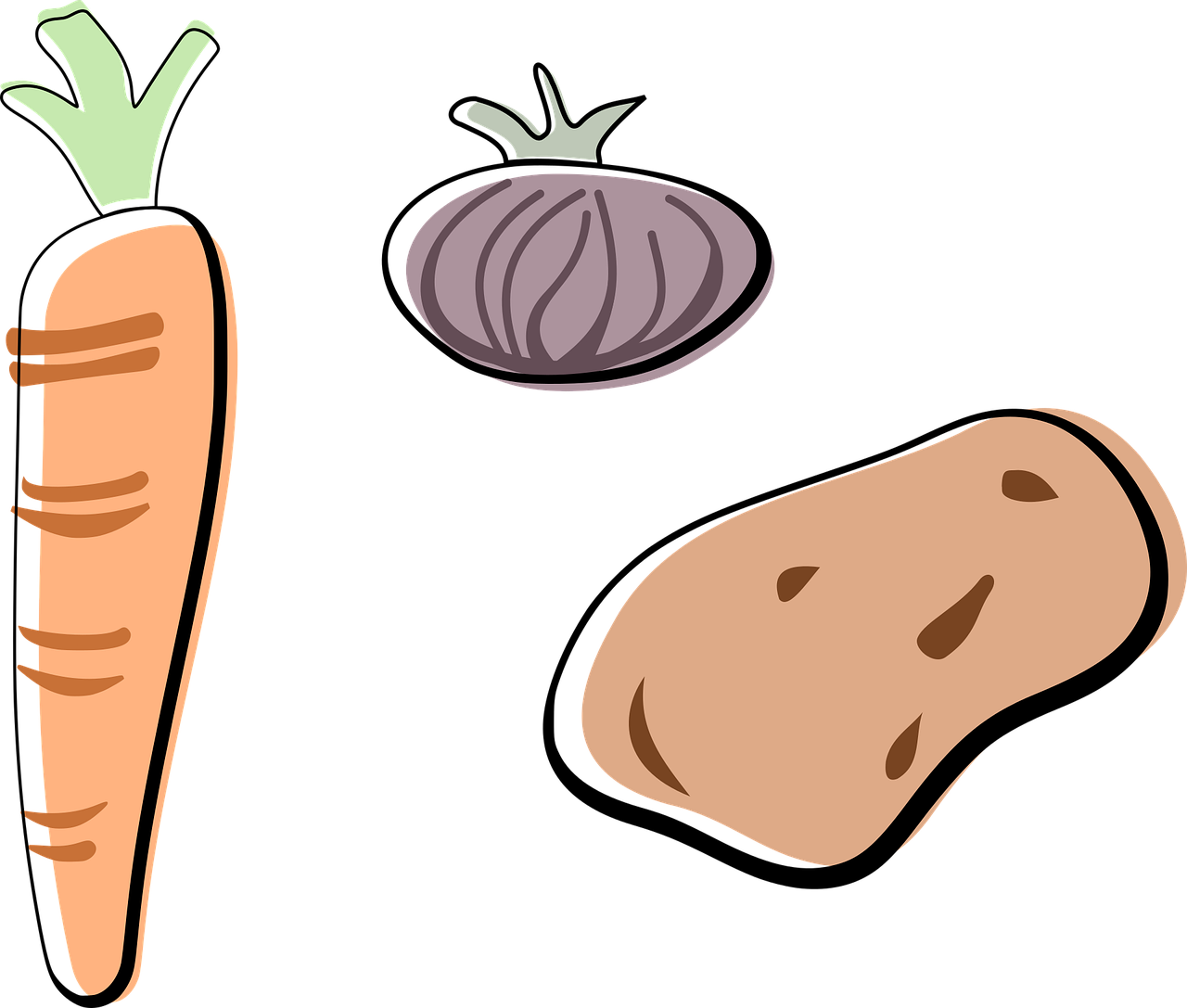 4. 洋葱种植时间表