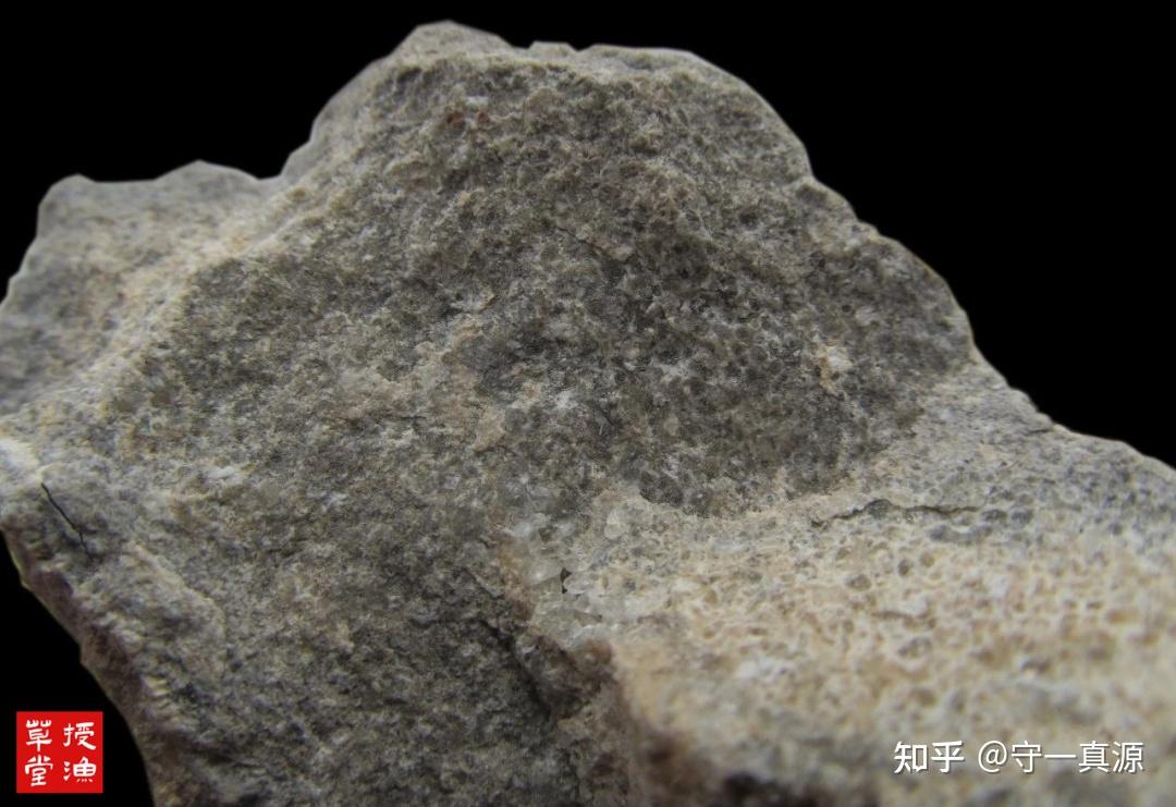 授渔草堂 | 龙骨鉴别图述及产地采挖 - 知乎