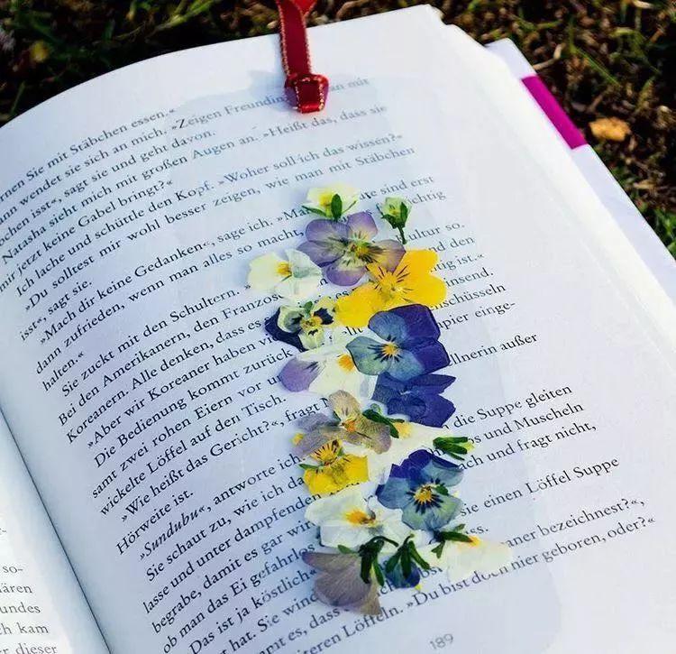梦境般的“压花”艺术,让你无法抵御的植物美学 - 知乎