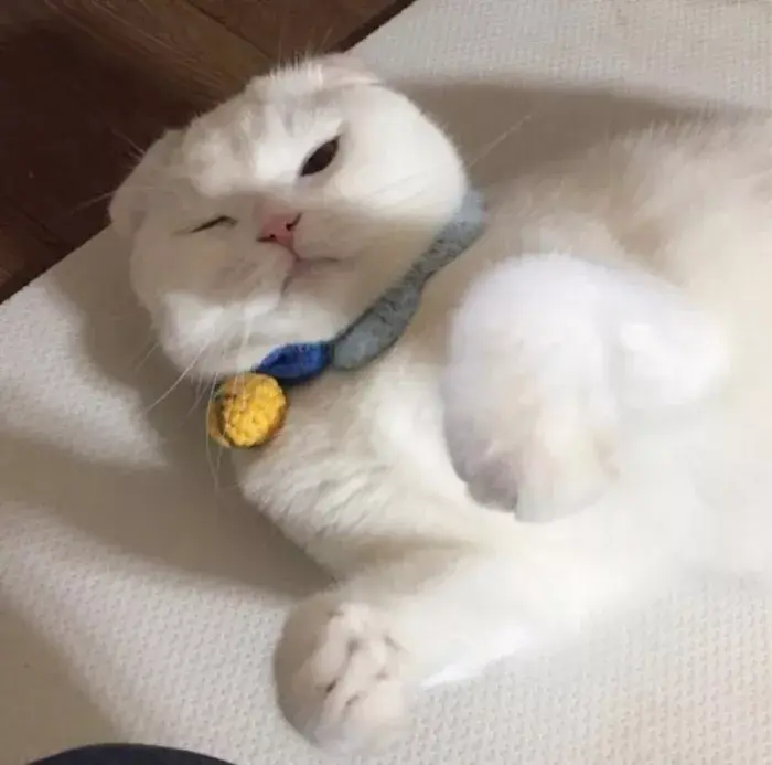 有哪些好看的情侣头像?-有哪些好看的情侣头像动漫