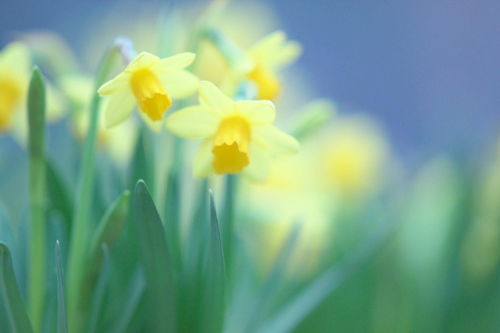 有无好看的开机壁纸和电脑屏保