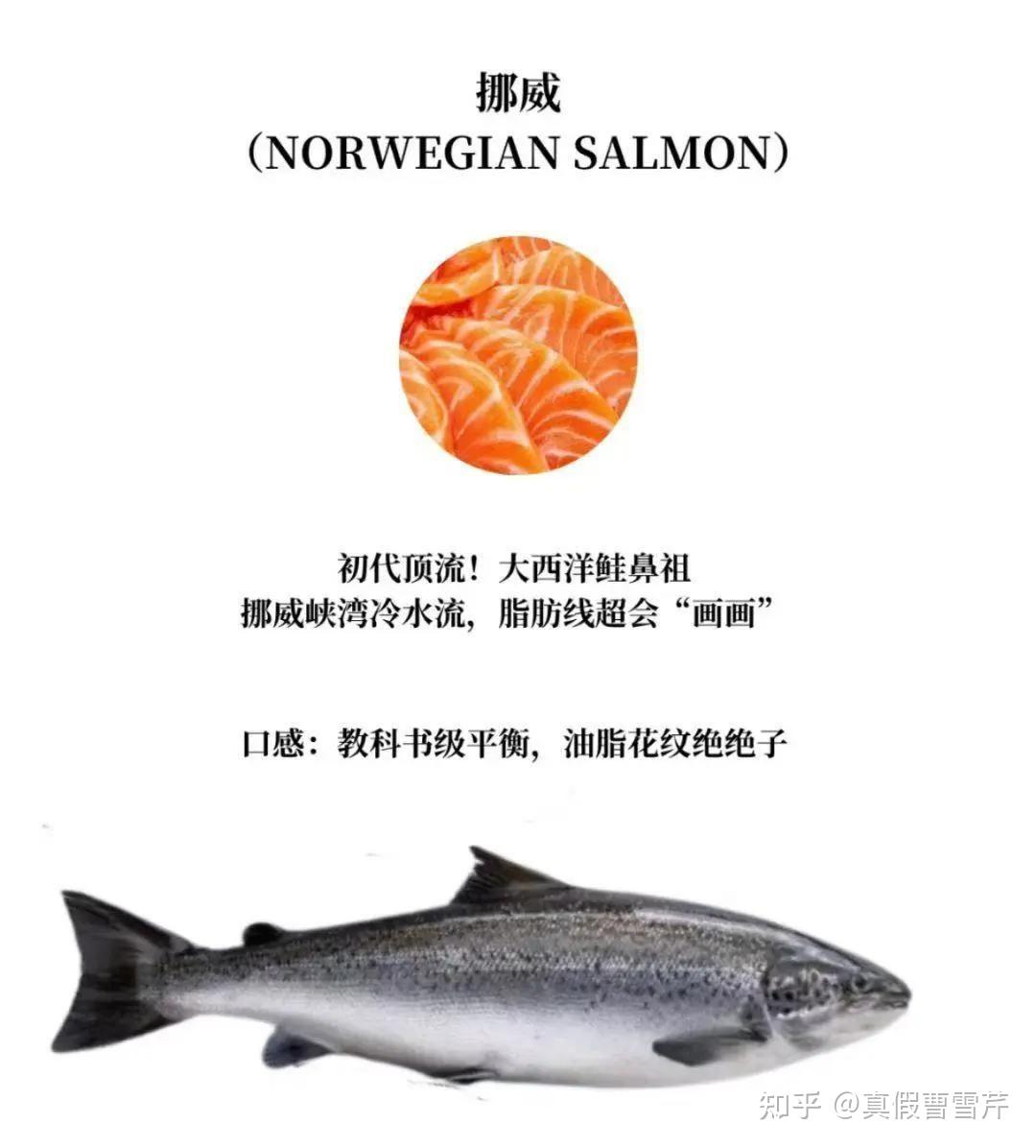 三倍体虹鳟鱼是神马？ - 知乎