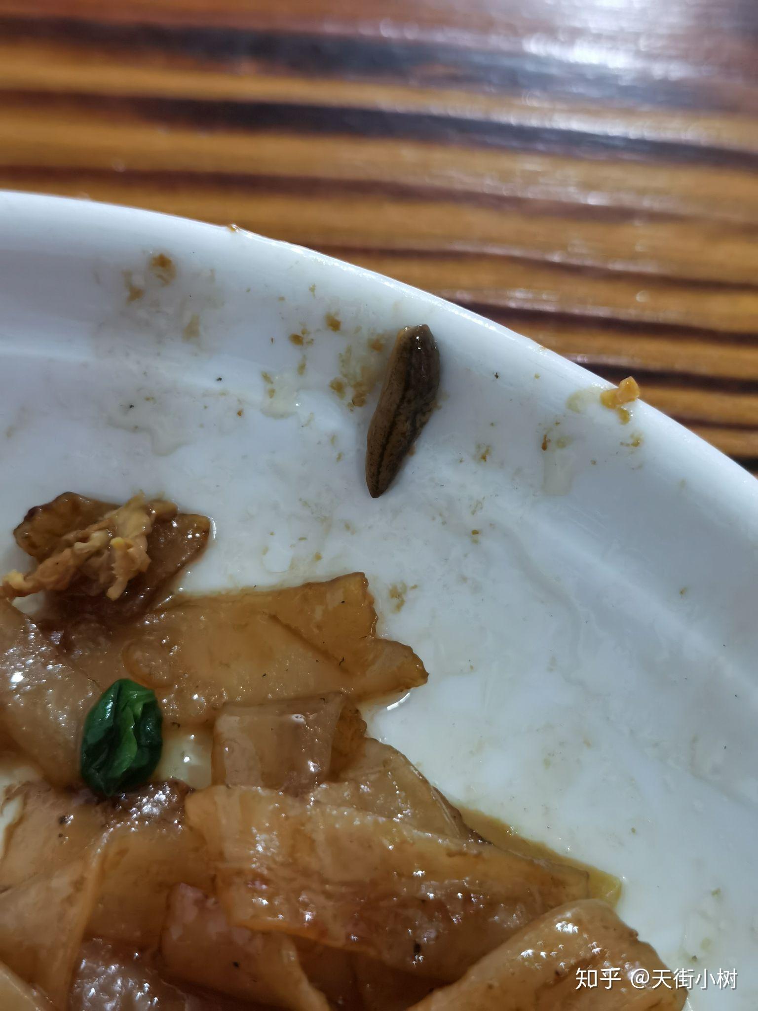 关于在餐馆的某一盘菜里吃出虫子,最符合法律规则的解决方案是什么?