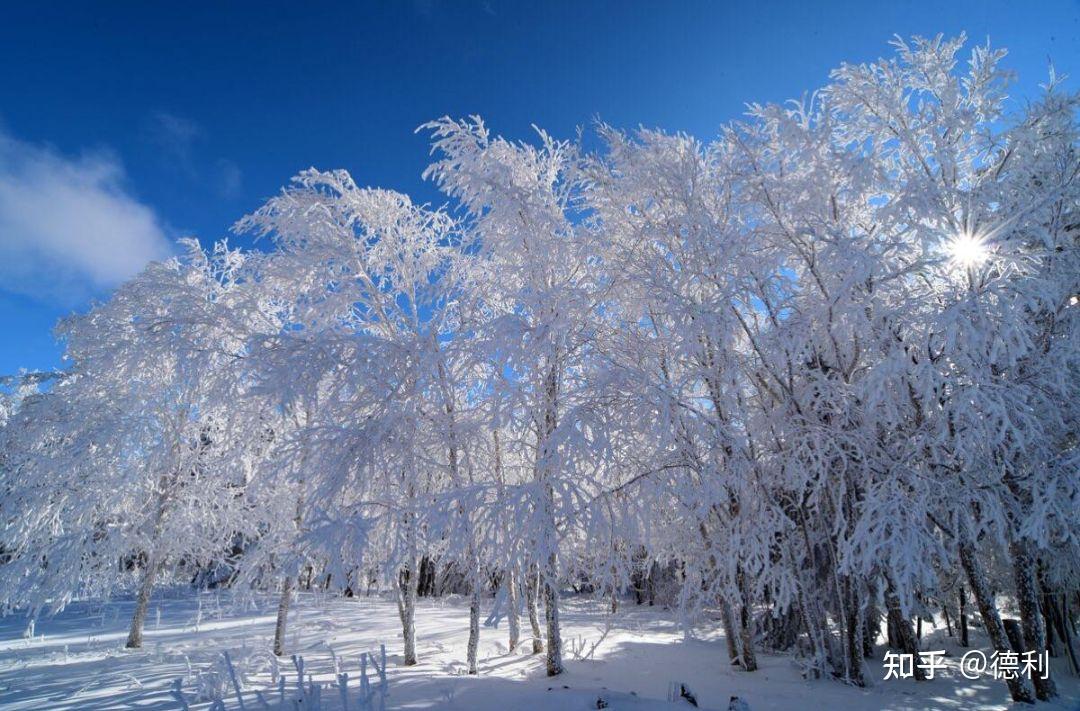 长春的冬天,可以冷到什么程度? - 知乎