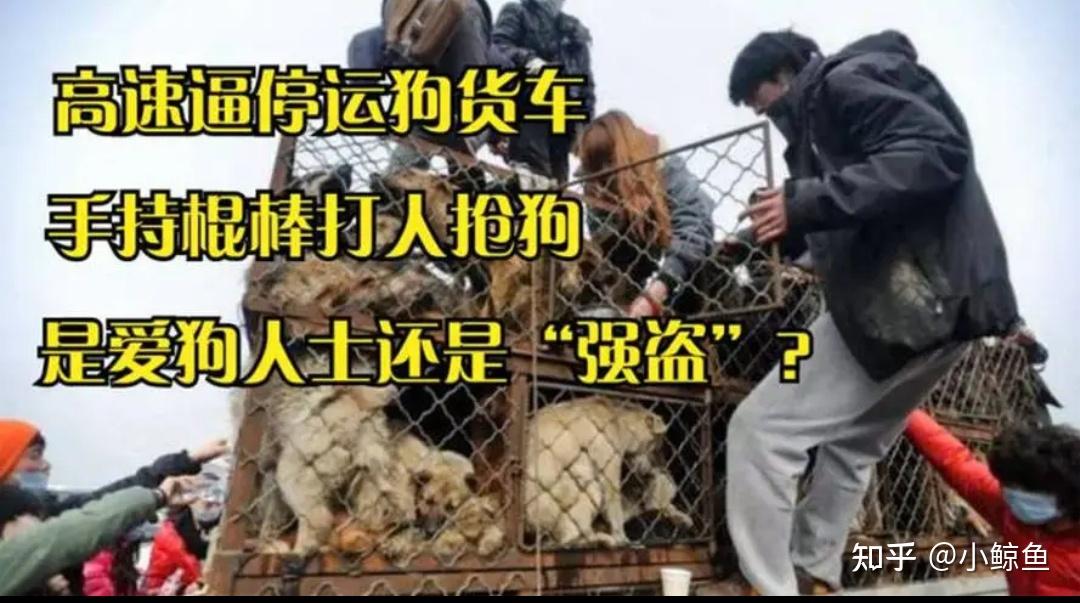 女人为什么不能吃狗肉的简单介绍 女人为什么不能吃狗肉的简单介绍