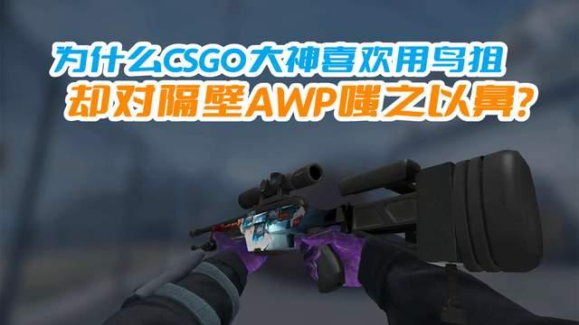 CSGO大神为什么都喜欢用鸟狙，却对隔壁的AWP嗤之以鼻？ - 知乎