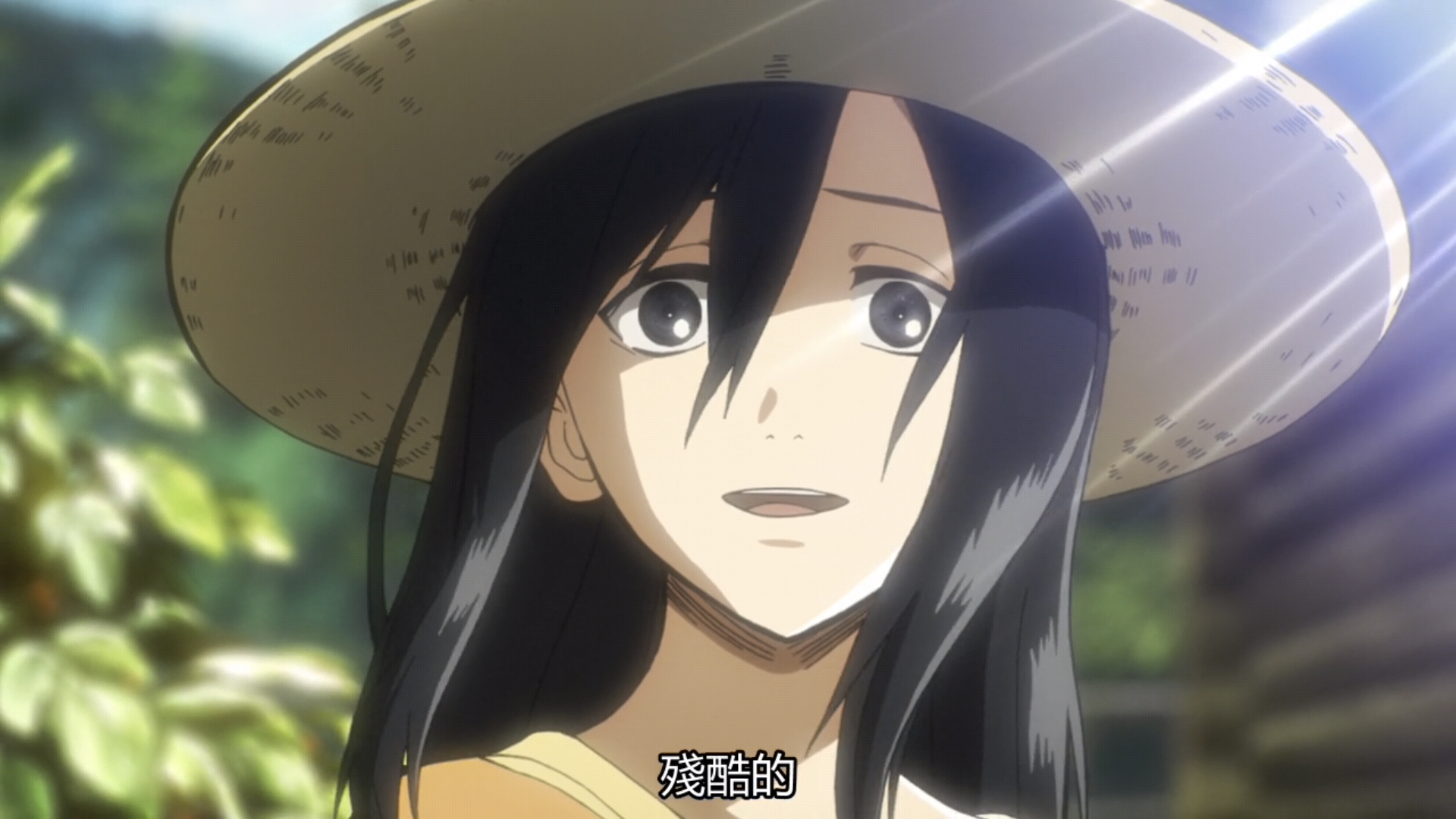 如何评价三笠·阿克曼? - 知乎