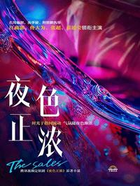 Sales 夫妇（江疏影、佟大为主演影视《夜色正浓》原著）