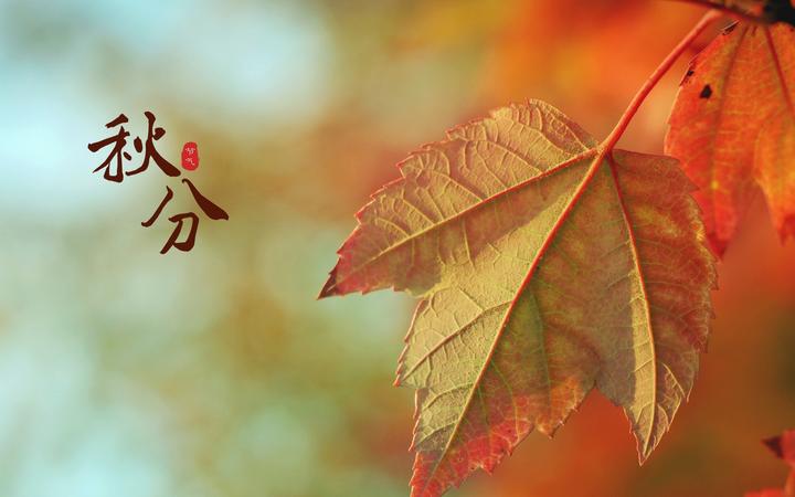 中健茂森：秋分到了，一起来感受秋天的气息！ - 知乎