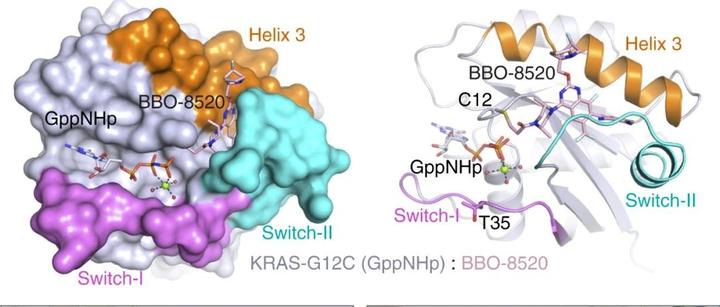 【Cancer Discovery】KRAS G12C GTP(ON)和GDP(OFF)共价双重抑制剂BBO-8520分子发现 - 知乎