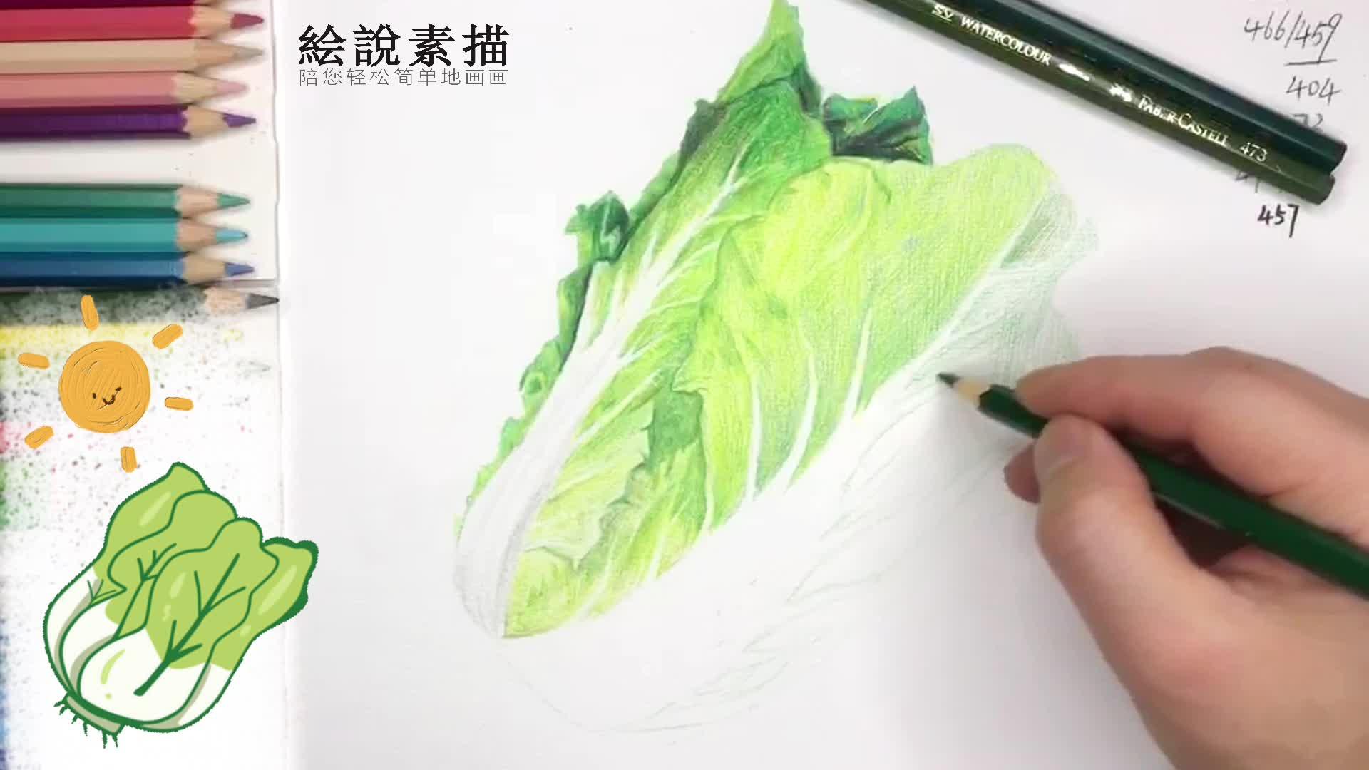 素描彩铅静物白菜的画法掌握好颜色叠加是关键