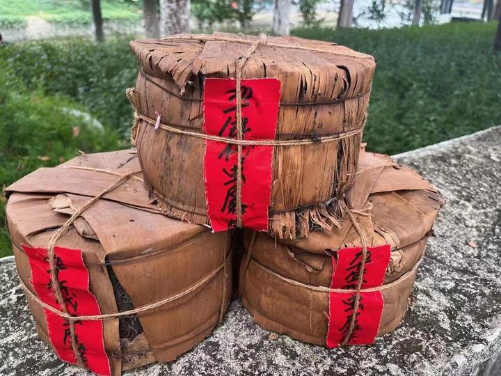 九十年代虫屎易武茶柱老生茶 - 知乎