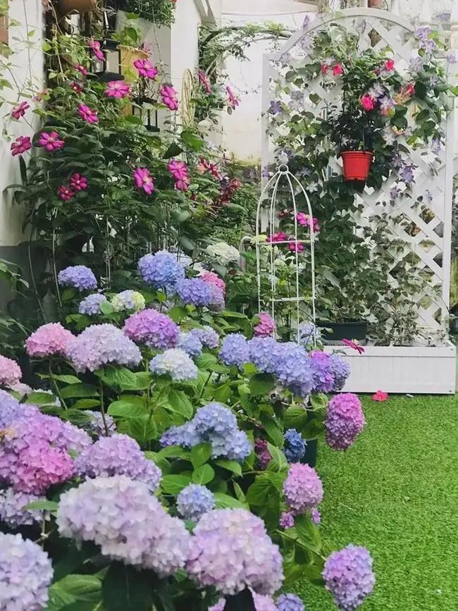 花园植物的风水文化,你不得不知道的栽植常识 - 知乎