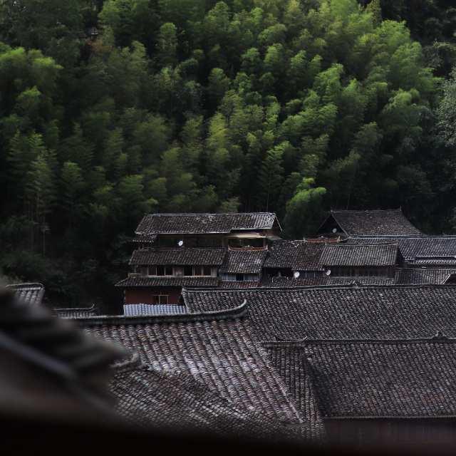 《庄子》中，你最喜欢的寓言是哪一个？