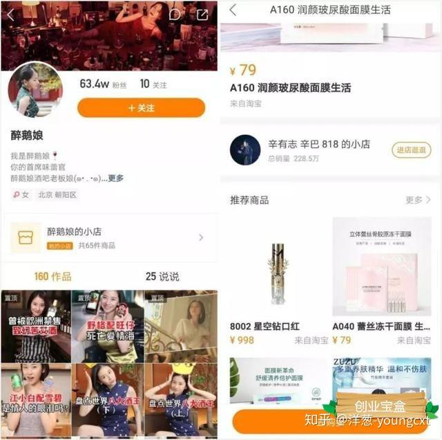 快手宠物号运营(宠物在快手里面属于什么类目)