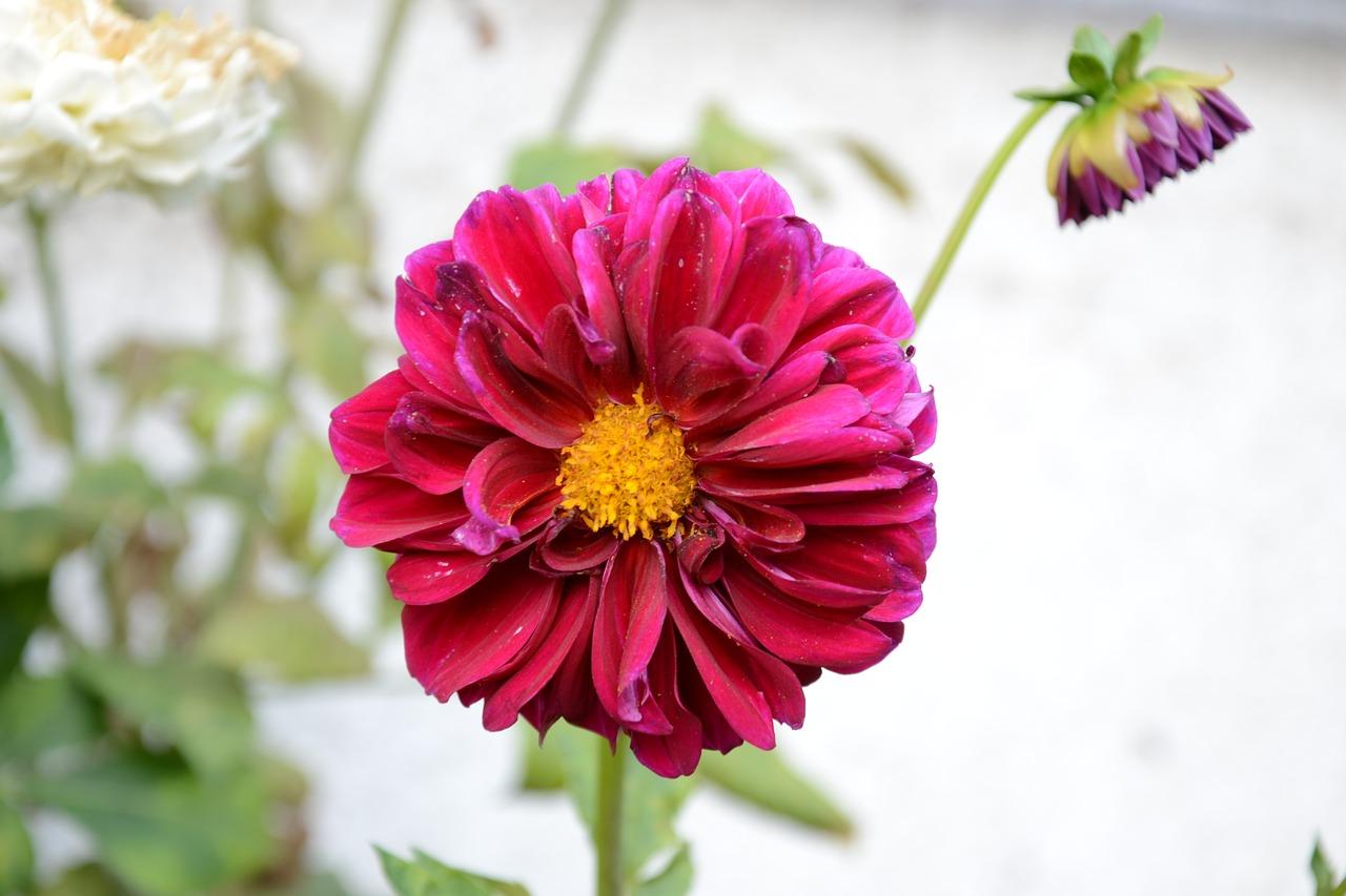 3. 炮苑花房户型