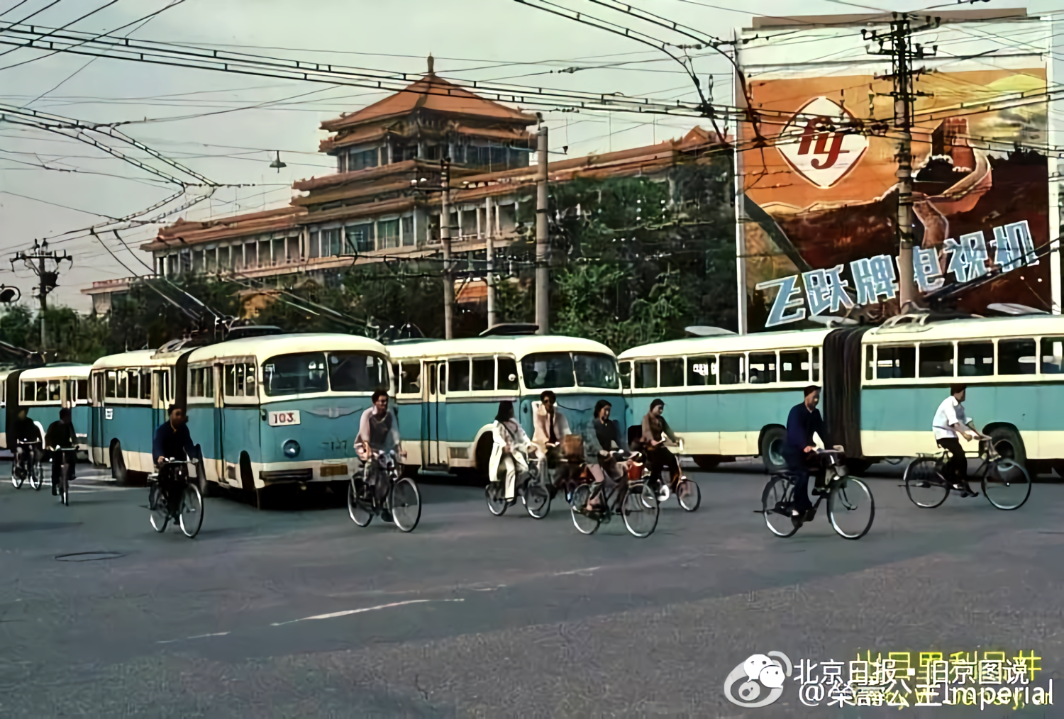 电线杆街景