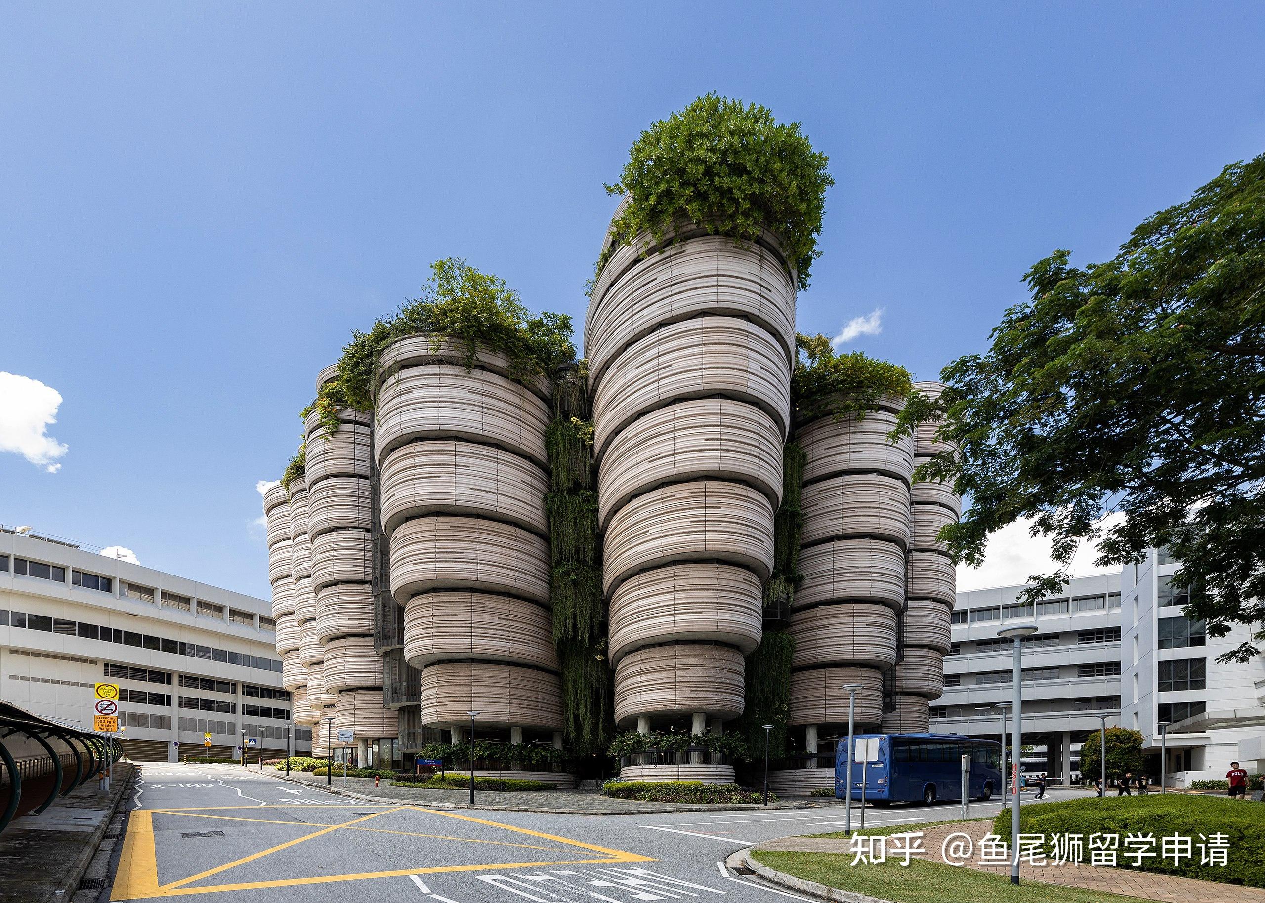 新加坡留学 - 知乎