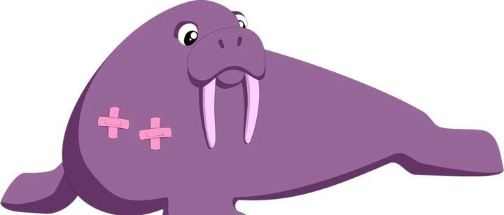 Python 海象运算符 (:=) 的三种用法 - 知乎