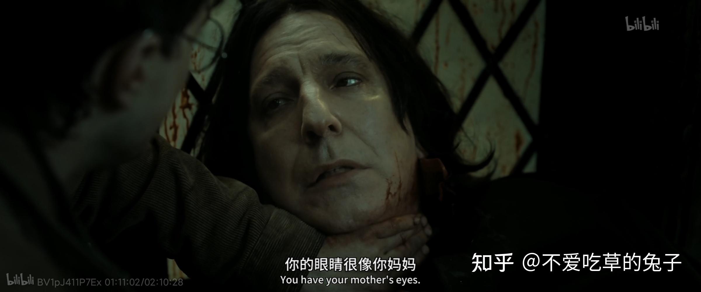 为什么哈利波特书中霸凌者詹姆小天狼星风评不错