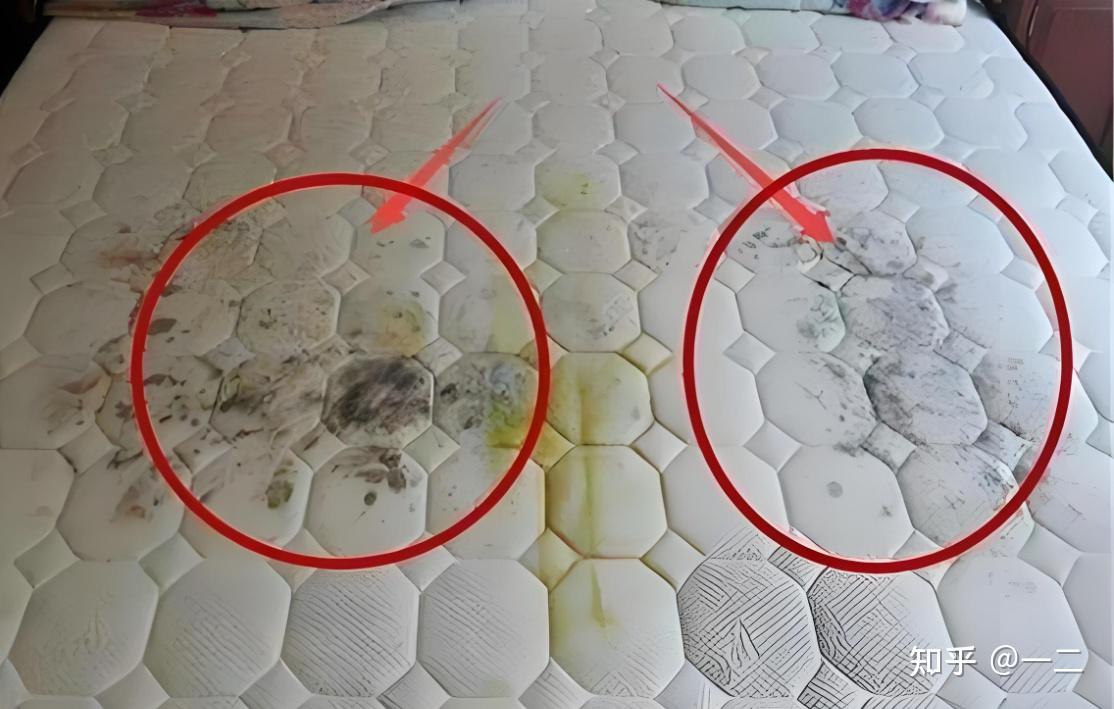 除螨仪真的有用吗还是忽悠人的?除螨仪哪个品牌最好最实用?除螨仪十大名牌排名盘点!