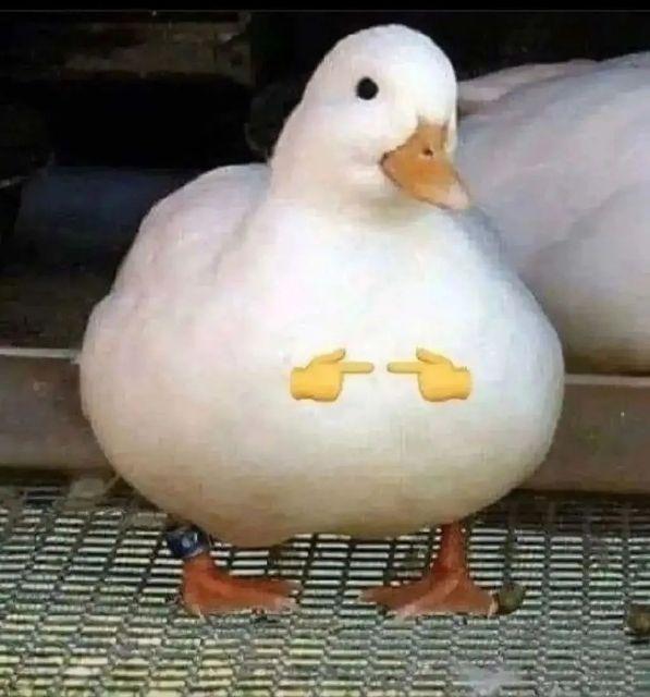 有哪些令人眼前一亮的朋友圈文案? - 知乎