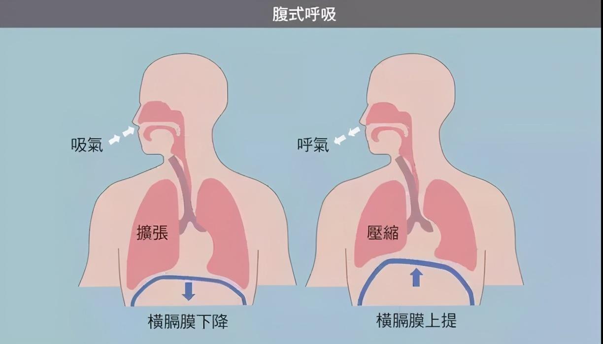 專業播音主持人平時是怎麼保護嗓子的