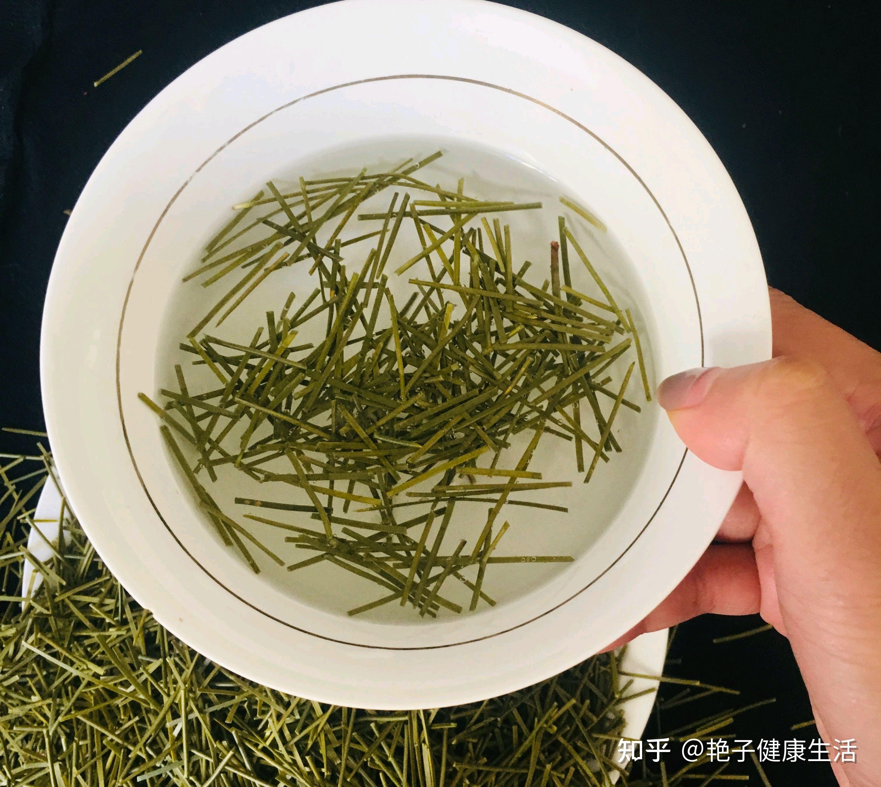 农村人当柴火烧的松针,用来煮水喝有多种功效,但有2点要注意 - 知乎