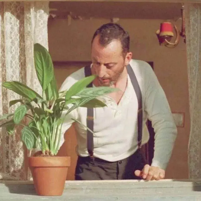 有哪些好看的情侣头像?-有哪些好看的情侣头像动漫