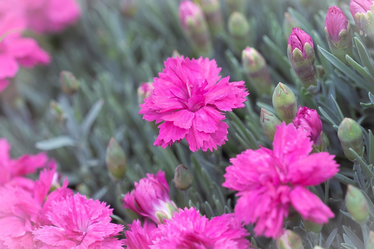 面层高度是多少厘米