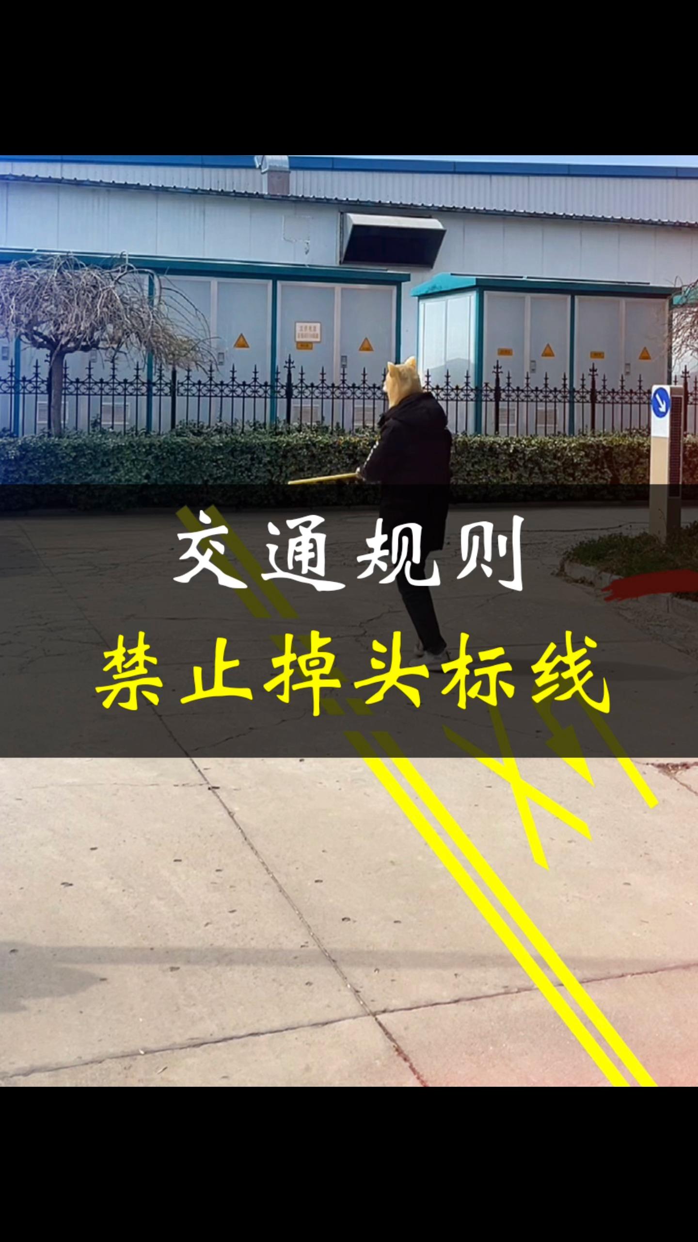 禁止掉头标线