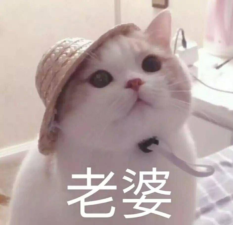 有哪些哄女朋友的表情包? - 知乎