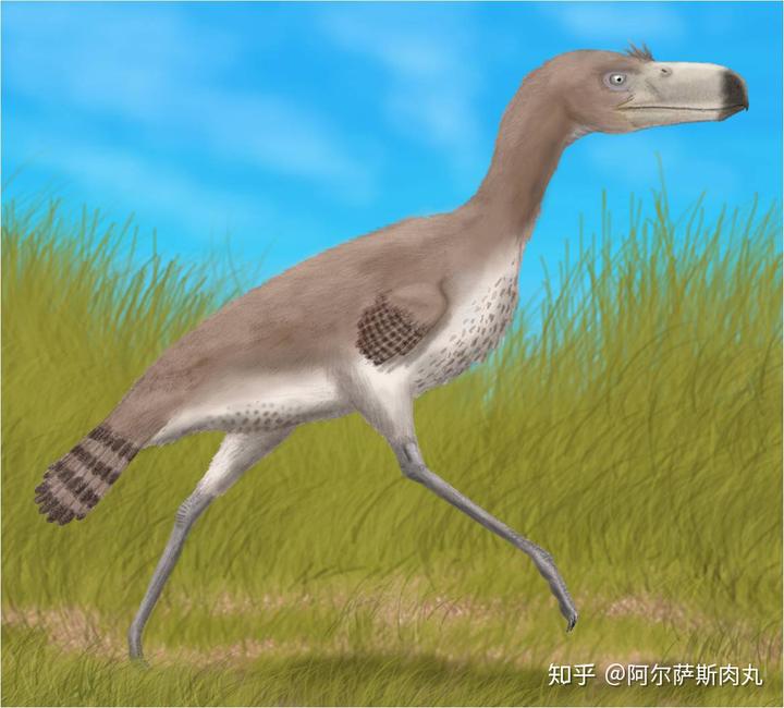 为什么大众仍然不接受鸟类源于恐龙？