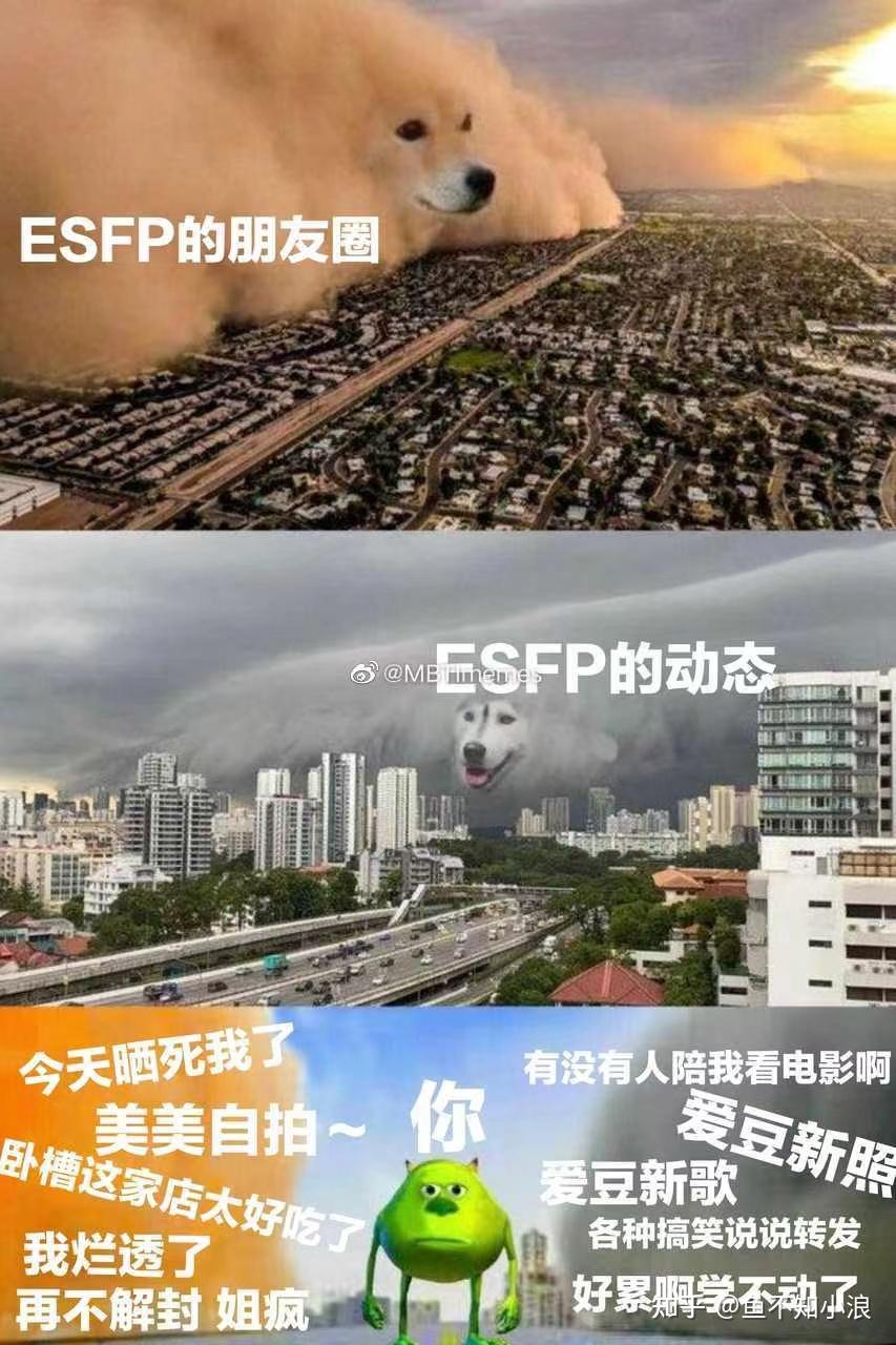 MBTI系列5：表演者ESFP——在聚光灯下呼唤爱 - 知乎